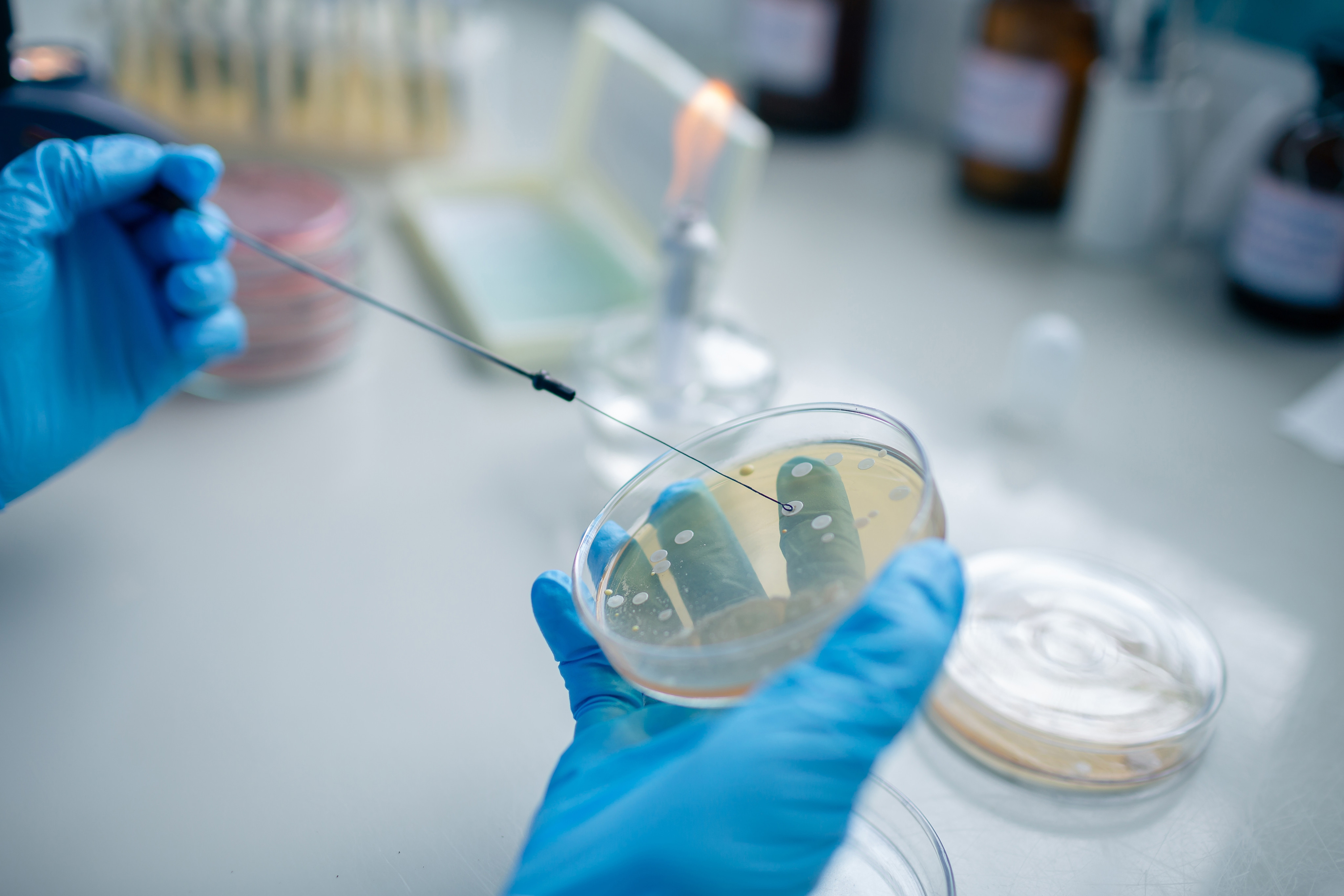 Trusted diagnostic solutions for labs worldwide.