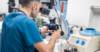 Veterinarian analyzing samples under a microscope in a laboratory.png