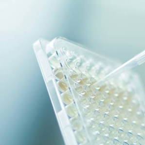 Scientist in a laboratory using a pipette to measure out a sample of clear liquid.png