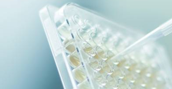 Scientist in a laboratory using a pipette to measure out a sample of clear liquid.png