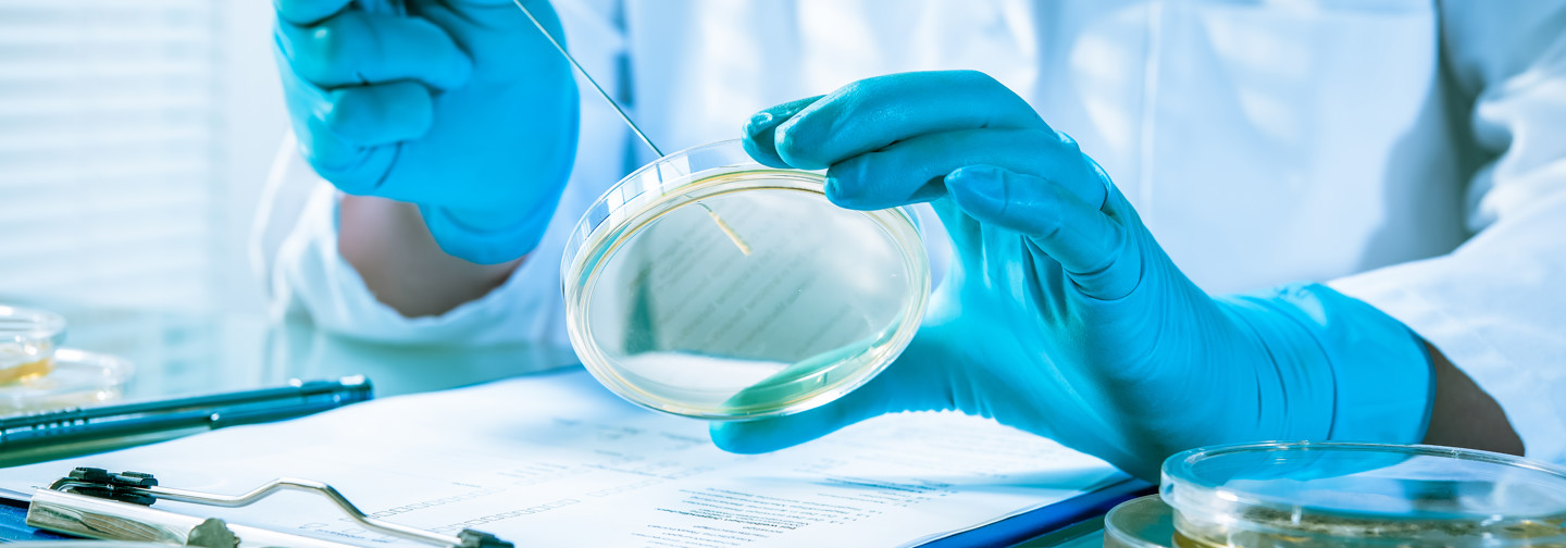 Explore our complete diagnostic range